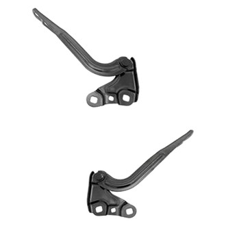 Replace® - Hood Hinges