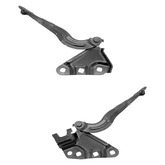 Replace® - Hood Hinge