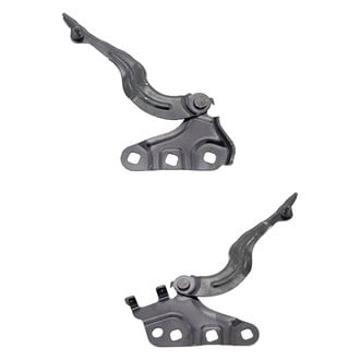 Replace® - Hood Hinges