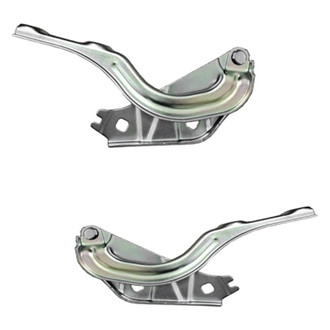 Replace® - Hood Hinges