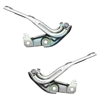 Replace® - Hood Hinges