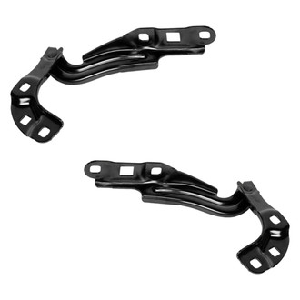 Replace® - Hood Hinges