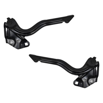 Replace® - Driver and Passenger Side Hood Hinge Set (Standard Line)