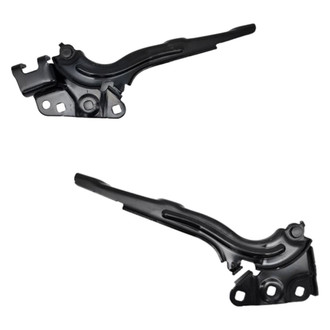 Replace® - Driver and Passenger Side Hood Hinge Set (Standard Line)