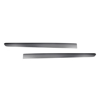 Replace® - Rear Driver and Passenger Side Door Molding Set (Standard Line)