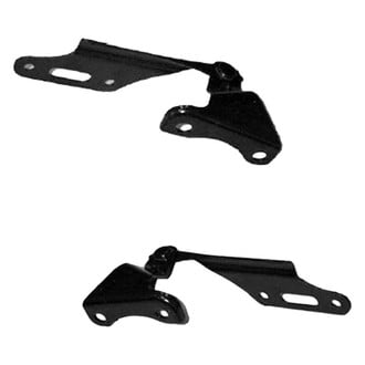 Replace® - Hood Hinges