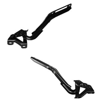 Replace® - Hood Hinge Set (Standard Line)