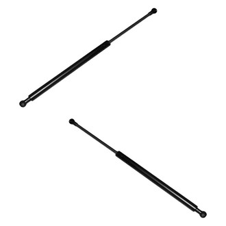 Replace® - Driver and Passenger Side Hood Lift Support Set (Standard Line)
