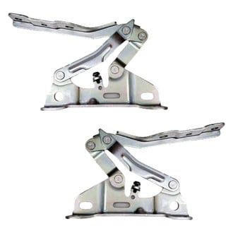 Replace® - Hood Hinges
