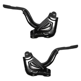Replace® - Hood Hinge Set (Standard Line)