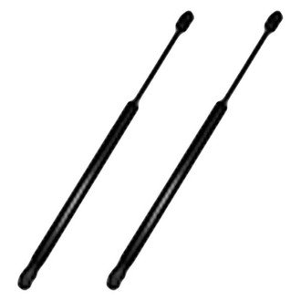 Replace® - Driver and Passenger Side Hood Lift Support Set (Standard Line)