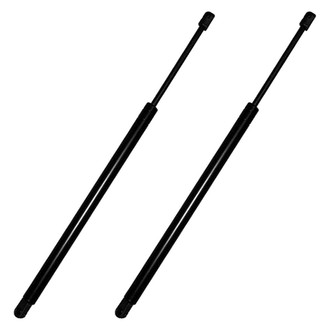 Replace® - Driver and Passenger Side Hood Lift Support Set (Standard Line)