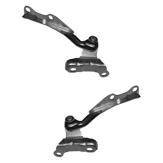 Replace® - Hood Hinge Set (Standard Line)