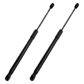 Replace® - Driver and Passenger Side Hood Lift Support Set (Standard Line)