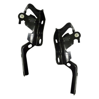 Replace® - Hood Hinges