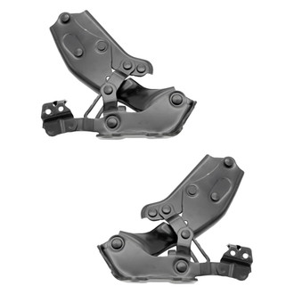 Replace® - Hood Hinges