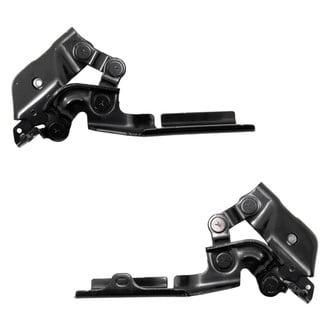 Replace® - Hood Hinges