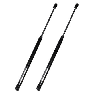 Replace® - Driver and Passenger Side Hood Lift Support Set (Standard Line)