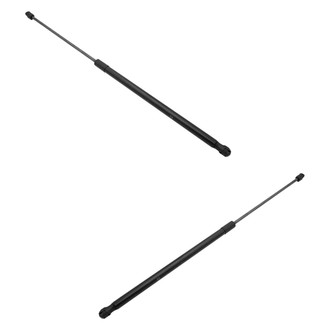 Replace® - Driver and Passenger Side Hood Lift Support Set (Standard Line)