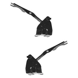 Replace® - Hood Hinges