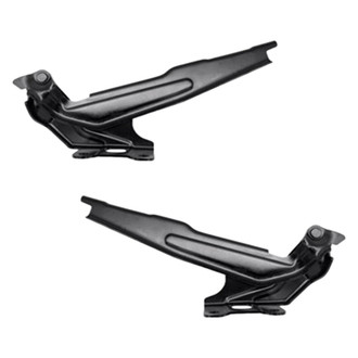 Replace® - Hood Hinges