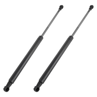 Replace® - Driver and Passenger Side Hood Lift Support Set (Standard Line)