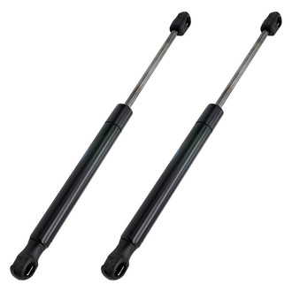 Replace® - Driver and Passenger Side Hood Lift Support Set (Standard Line)