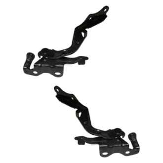 Replace® - Hood Hinges
