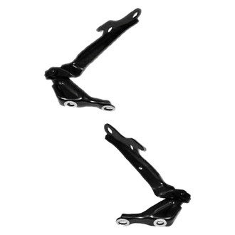 Replace® - Hood Hinge Set (Standard Line)