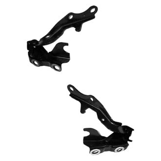 Replace® - Hood Hinge Set (Standard Line)