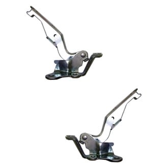 Replace® - Hood Hinges