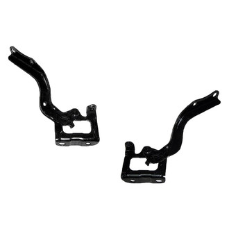 Replace® - Hood Hinge Set (Standard Line)