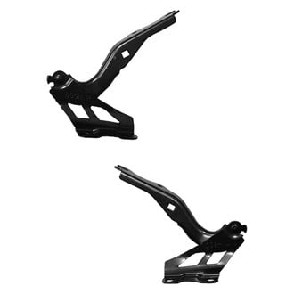 Replace® - Hood Hinges