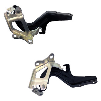 Replace® - Hood Hinges