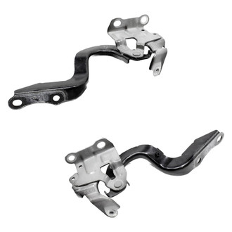 Replace® - Hood Hinges