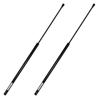 Replace® - Driver and Passenger Side Hood Lift Support Set (Standard Line)