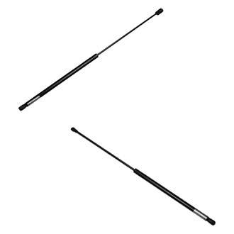 Replace® - Driver and Passenger Side Hood Lift Support Set (Standard Line)