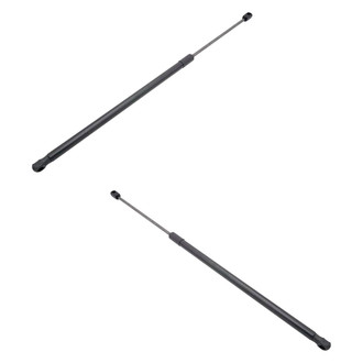 Replace® - Driver and Passenger Side Hood Lift Support Set (Standard Line)