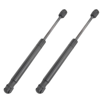 Replace® - Driver and Passenger Side Hood Lift Support Set (Standard Line)