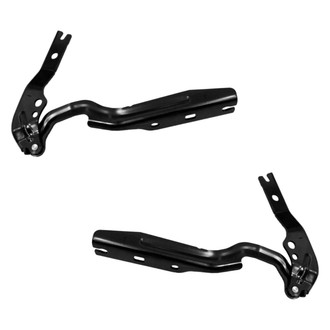 Replace® - Hood Hinge Set (Standard Line)