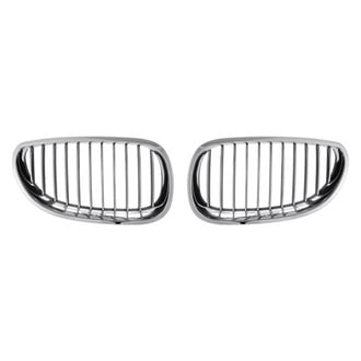 Replace® - Driver and Passenger Side Grille Set (Standard Line)