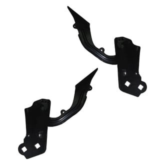 Replace® - Driver and Passenger Side Hood Hinge Set (Standard Line)