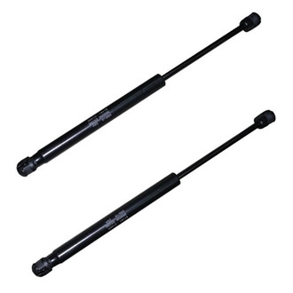 Replace® - Driver and Passenger Side Hood Lift Support Set (Standard Line)