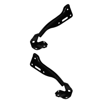 Replace® - Driver and Passenger Side Hood Hinge Set (Standard Line)