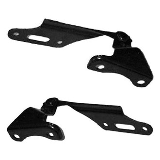 Replace® - Driver and Passenger Side Hood Hinge Set (Standard Line)