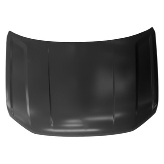 Replace® - Hood Panel (Standard Line)