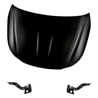 Replacement BNDL-200181 - 3-Piece (Hood Panel, Driver and Passenger Side Hood Hinge) (Standard Line)
