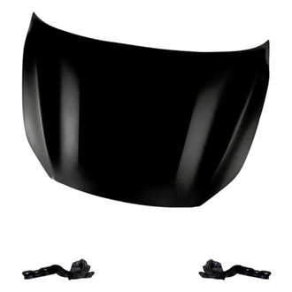 Replacement - 3-Piece (Hood Panel, Driver and Passenger Side Hood Hinge) (Standard Line)