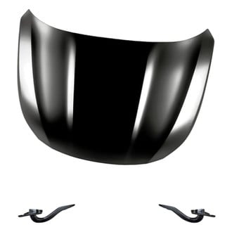 Replacement - 3-Piece (Hood Panel, Driver and Passenger Side Hood Hinge) (Standard Line)