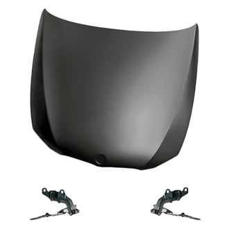 Replacement - 3-Piece (Hood Panel, Driver and Passenger Side Hood Hinge) (Standard Line)